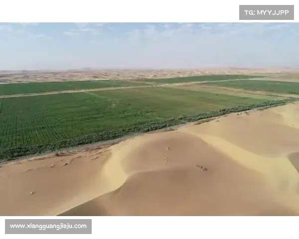 从沙漠到绿洲：内蒙古棒球队十年生态改造与物种引种实践